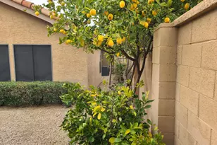 15825 N 51st St, Scottsdale, AZ 85254 - Photo 7