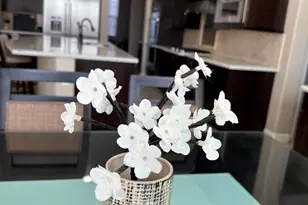 10924 N 136th Pl, Scottsdale, AZ 85259 - Photo 17