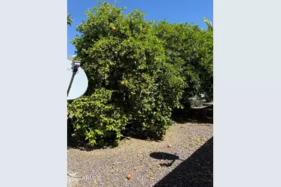 9501 E Broadway Road #164, Mesa, AZ 85208 - Photo 25