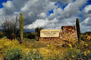 8881 E Gray Rd, Scottsdale, AZ 85260 - Photo 35