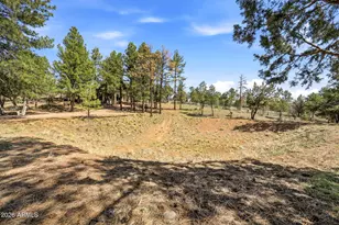 2250 Grizzly Dr, Overgaard, AZ 85933 - Photo 37