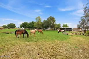 1566 E Paint Horse Pl, San Tan Valley, AZ 85140 - Photo 45