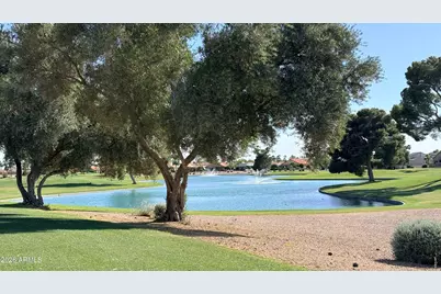 26226 S Flame Tree Drive, Sun Lakes, AZ 85248 - Photo 33