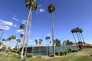 26226 S Flame Tree Dr, Sun Lakes, AZ 85248 - Photo 33