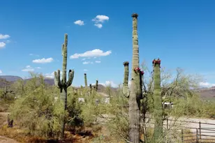 40455 N 26th St, Cave Creek, AZ 85331 - Photo 55