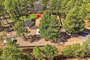 233 E Turkey Track Ln, Pinetop, AZ 85935 - Photo 51