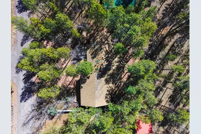 71 E Turkey Track Lane, Pinetop, AZ 85935 - Photo 43