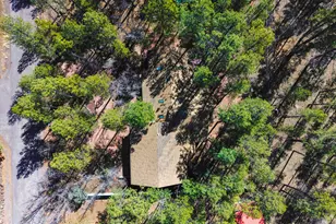 71 E Turkey Track Ln, Pinetop, AZ 85935 - Photo 43