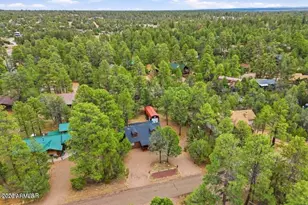 3349 Panorama Dr, Overgaard, AZ 85933 - Photo 41