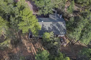 4802 N Pine Ln, Pine, AZ 85544 - Photo 25