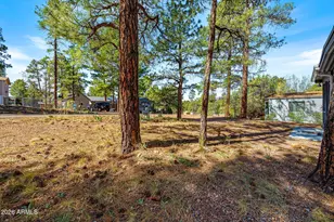 2500 W Savage, Show Low, AZ 85901 - Photo 15