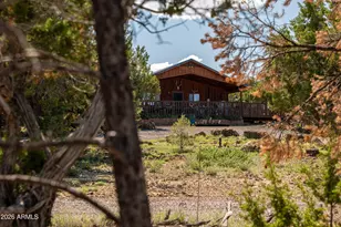 42320 N Walk About Trail, Seligman, AZ 86337 - Photo 7