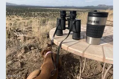 42320 N Walk About Trail, Seligman, AZ 86337 - Photo 53