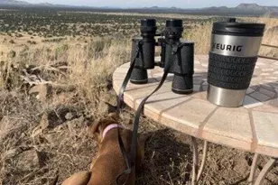 42320 N Walk About Trail, Seligman, AZ 86337 - Photo 53