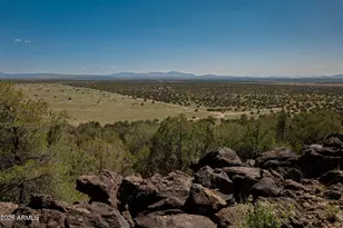 42320 N Walk About Trail, Seligman, AZ 86337 - Photo 55