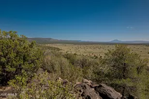 42320 N Walk About Trail, Seligman, AZ 86337 - Photo 59