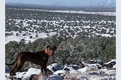 42320 N Walk About Trail, Seligman, AZ 86337 - Photo 57