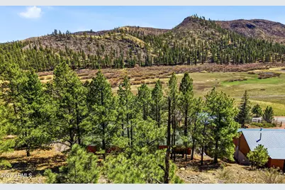 2 County Road 1013 -- #12, Greer, AZ 85927 - Photo 3