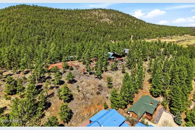 2 County Road 1013 -- #12, Greer, AZ 85927 - Photo 11