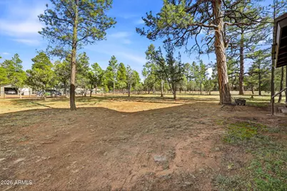 3022 Chevelon Road, Overgaard, AZ 85933 - Photo 23
