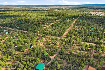 3022 Chevelon Road, Overgaard, AZ 85933 - Photo 35