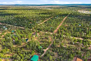 3022 Chevelon Rd, Overgaard, AZ 85933 - Photo 35