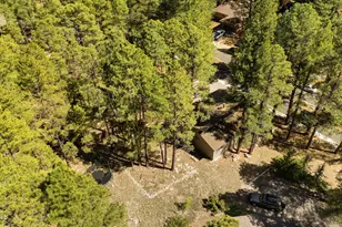 3161 S Troxler Cir, Flagstaff, AZ 86005 - Photo 51