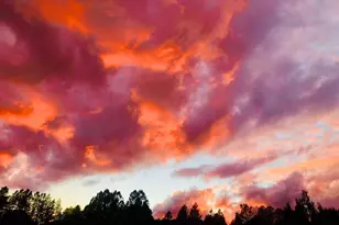 746 W Sleepy Hollow Ln, Payson, AZ 85541 - Photo 55