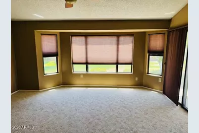 13047 W Peach Blossom Drive, Sun City West, AZ 85375 - Photo 11