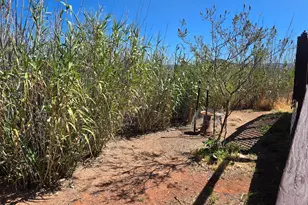 4580 N Tagalong Trail, Rimrock, AZ 86335 - Photo 29