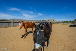 31623 N 167th Ave, Surprise, AZ 85387 - Photo 45