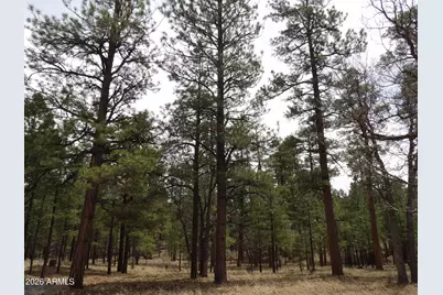 2011 Pine Canyon Drive #173, Happy Jack, AZ 86024 - Photo 3