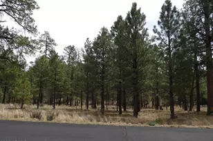 2011 Pine Canyon Dr, Happy Jack, AZ 86024 - Photo 1