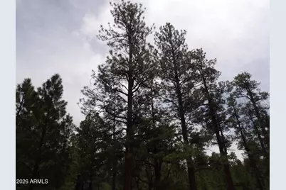 2011 Pine Canyon Drive #173, Happy Jack, AZ 86024 - Photo 7