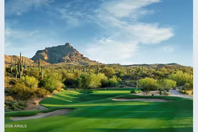 16063 N Cerro Alto Drive, Fountain Hills, AZ 85268 - Photo 61