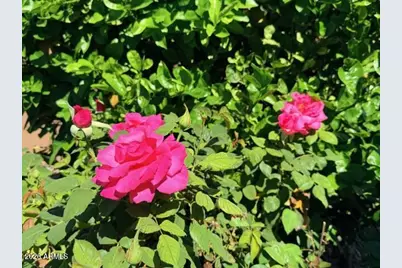 2798 E Teakwood Place, Chandler, AZ 85249 - Photo 79