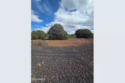 179 County Road 3158 -- #37, Vernon, AZ 85940 - Photo 9