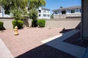 241 E Roadrunner Dr, Chandler, AZ 85286 - Photo 5