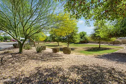 2120 W Olivia Drive, San Tan Valley, AZ 85144 - Photo 39