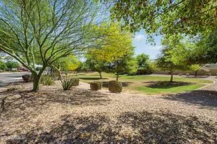 2120 W Olivia Dr, San Tan Valley, AZ 85144 - Photo 39