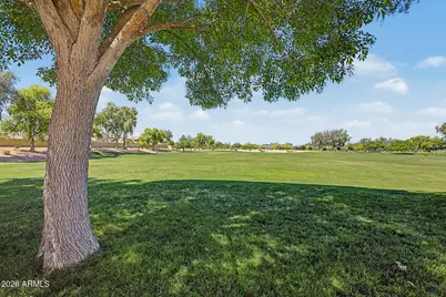 2120 W Olivia Drive, San Tan Valley, AZ 85144 - Photo 43