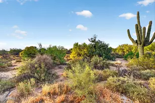 7474 E Christmas Cholla Dr, Scottsdale, AZ 85255 - Photo 37