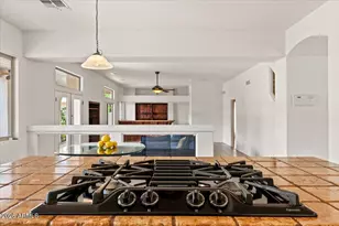 13030 W Luchana Dr, Litchfield Park, AZ 85340 - Photo 13