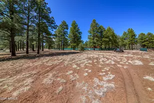 5545 E Cullum Ln, Flagstaff, AZ 86004 - Photo 35