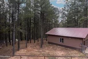 2426 Daisy Trl, Forest Lakes, AZ 85931 - Photo 39