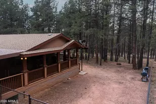 2426 Daisy Trl, Forest Lakes, AZ 85931 - Photo 51