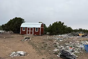 82 County Road N8188 --, Concho, AZ 85924 - Photo 5