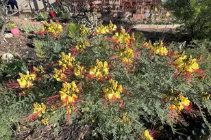 836 W State Route 260 --, Camp Verde, AZ 86322 - Photo 27