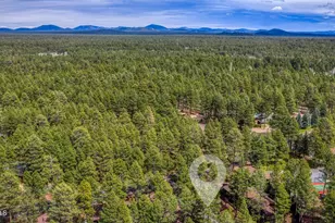 2868 Park Cir, Pinetop, AZ 85935 - Photo 21