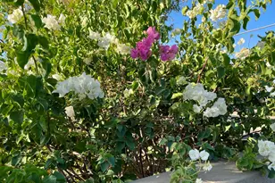 7660 E McKellips Rd, Scottsdale, AZ 85257 - Photo 11